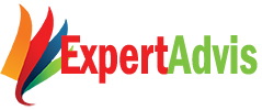 Expertadvis